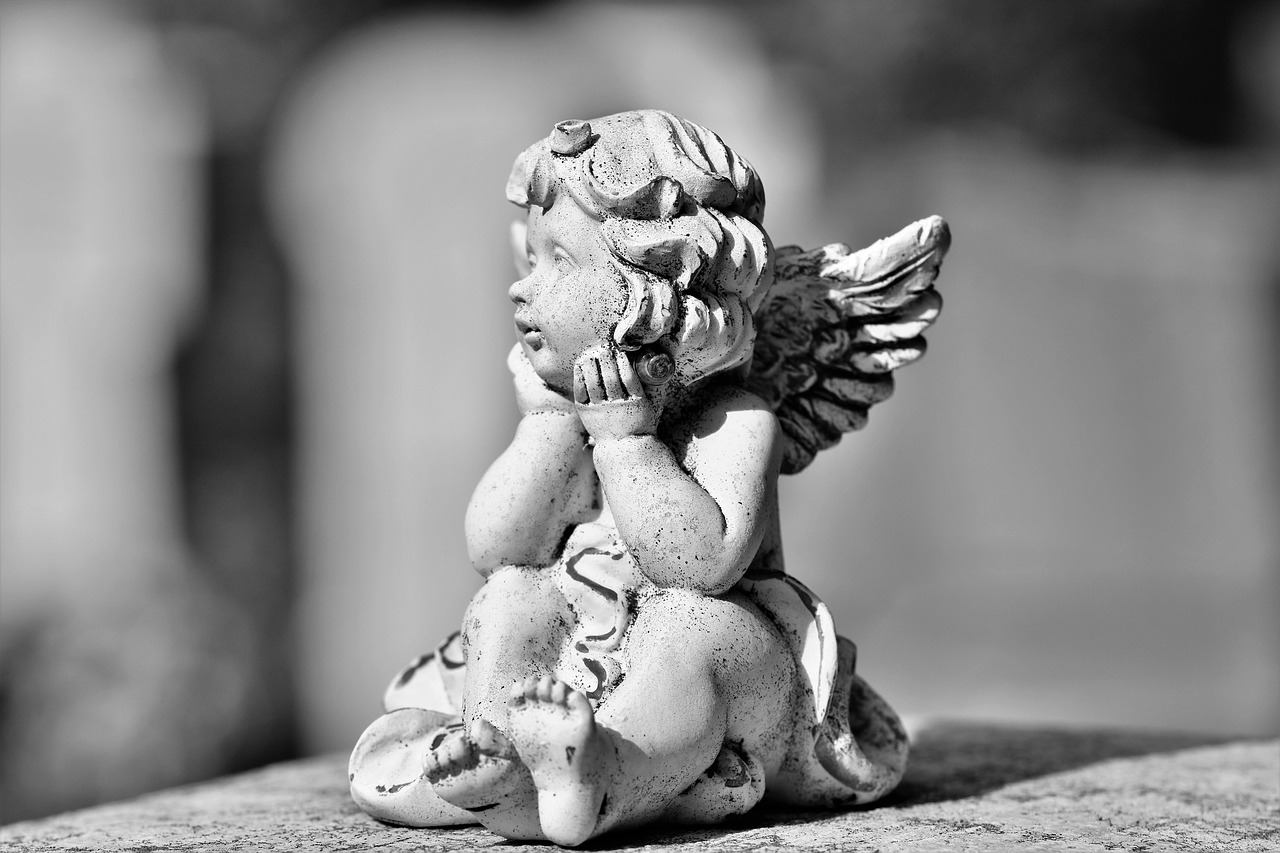 discover the role of angel investors, their benefits, and how they support startups with early-stage funding and mentorship.
