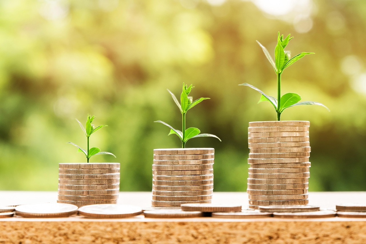 explore the essentials of entrepreneurial finance, including funding strategies, investment opportunities, and financial management for startups and growing businesses.